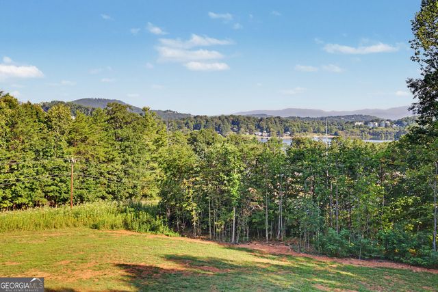 1306 Ramey Mtn Road, Hiawassee, GA 30546