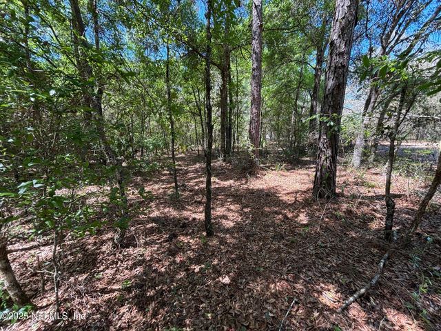 115 COUNTRY LIVING Circle, Melrose, FL 32666