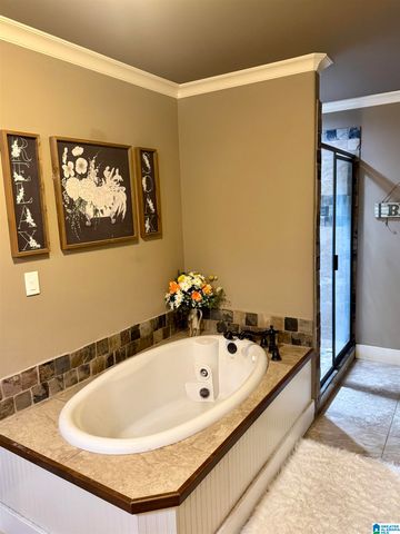 6239 RAINBOW ROW, Pell City, AL 35128