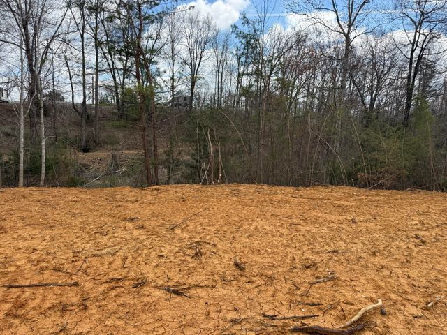 Lot 11 Phase 2 Stearns Hollow Road, Monticello, KY 42633