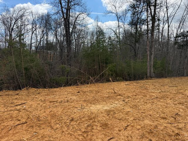 Lot 11 Phase 2 Stearns Hollow Road, Monticello, KY 42633