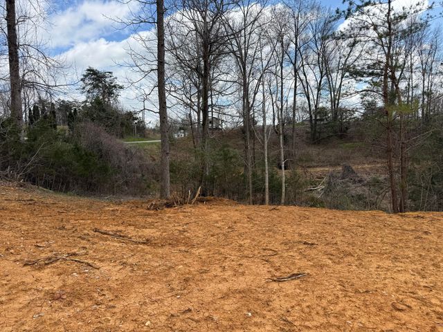 Lot 11 Phase 2 Stearns Hollow Road, Monticello, KY 42633