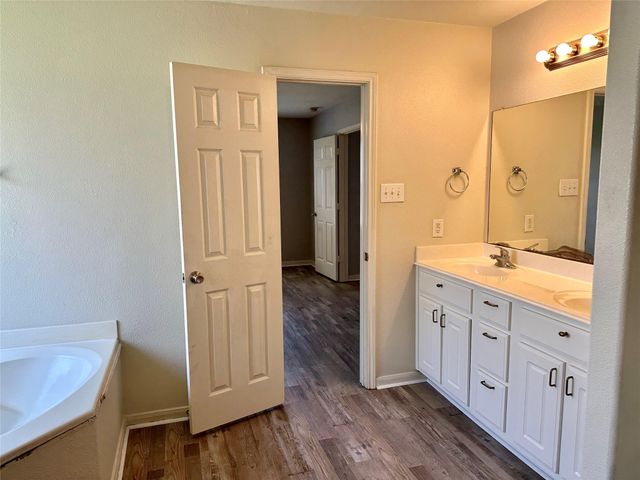 29006 Trinity River Drive, Spring, TX 77386