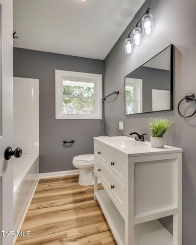 583 Lovedale Drive, Kingsport, TN 37660