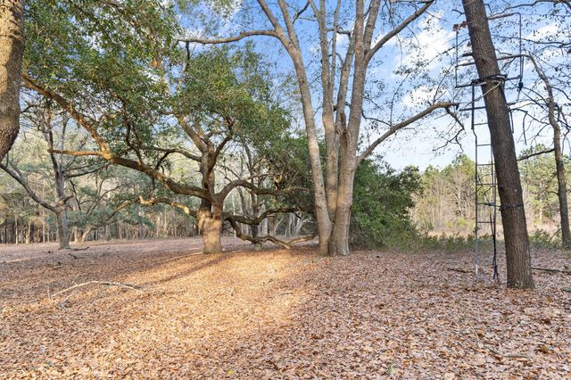 138 Sunnyvale Court, Orangeburg, SC 29115