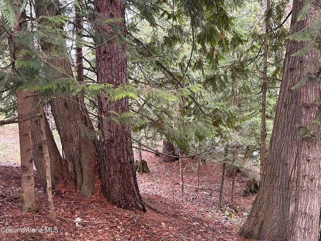 2727 Selkirk RD, Sandpoint, ID 83864