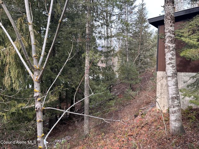 2727 Selkirk RD, Sandpoint, ID 83864