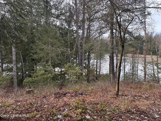 2727 Selkirk RD, Sandpoint, ID 83864