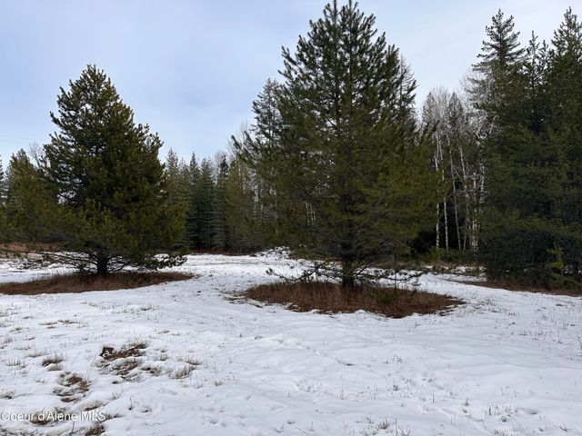 2727 Selkirk RD, Sandpoint, ID 83864