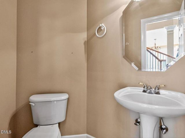 101 Fringe Tree Court, Cary, NC 27519