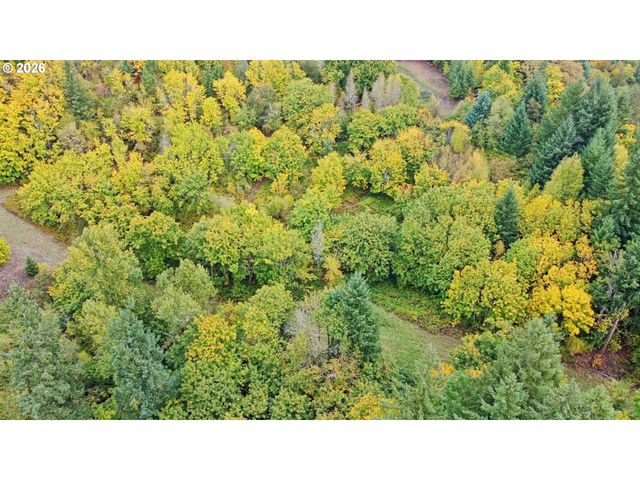 239 Columbia View Dr, Woodland, WA 98674
