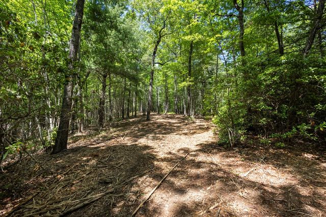 4.3 AC Donley Road, Murphy, NC 28906