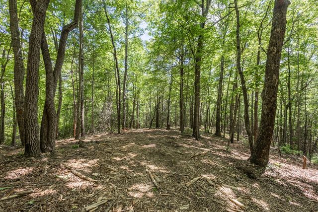 4.3 AC Donley Road, Murphy, NC 28906
