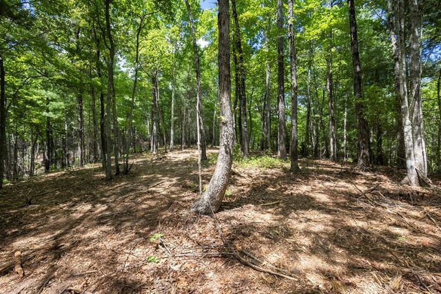 4.3 AC Donley Road, Murphy, NC 28906