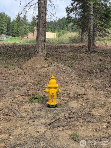 5 Double O Road, Ronald, WA 98940
