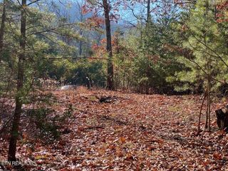 Lot English Springs Way, Newport, TN 37821