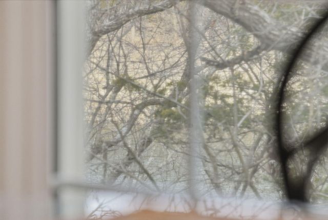 1202 Rocky Shore Terrace, Kimberling City, MO 65686