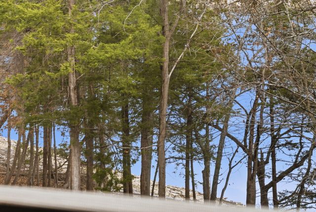 1202 Rocky Shore Terrace, Kimberling City, MO 65686