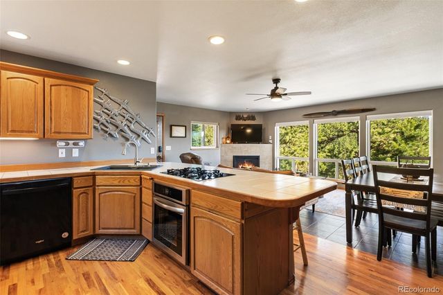 1240 Ponderosa Way, Woodland Park, CO 80863