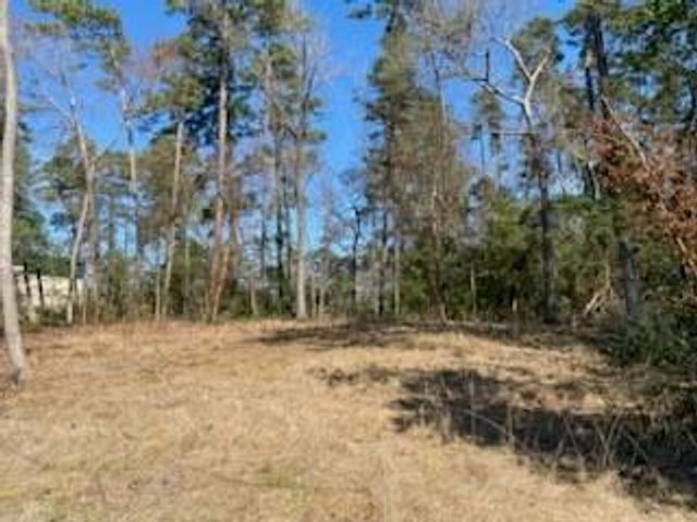 531 Mohawk Bend, Conroe, TX 77316