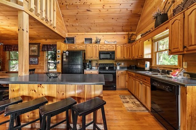 469 Mountain High Drive, Mineral Bluff, GA 30559