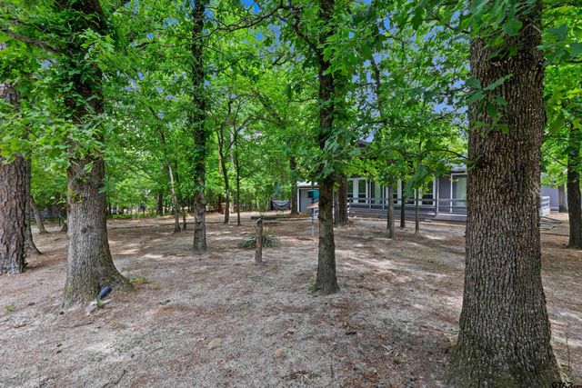274 Wildwood Trail, Holly Lake Ranch, TX 75765