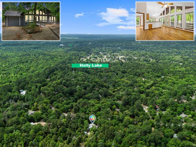 274 Wildwood Trail, Holly Lake Ranch, TX 75765