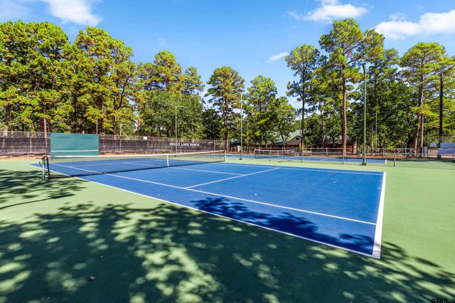 274 Wildwood Trail, Holly Lake Ranch, TX 75765