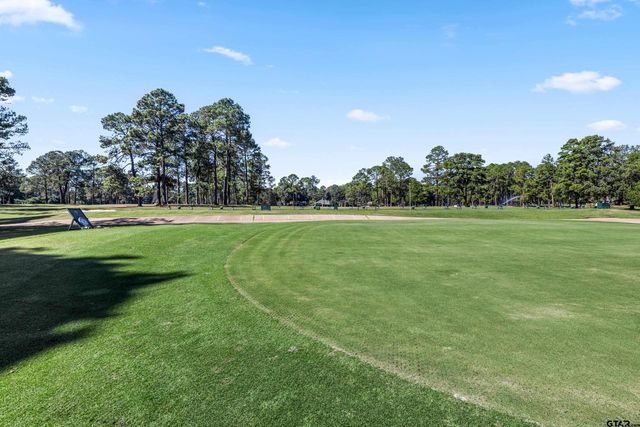 274 Wildwood Trail, Holly Lake Ranch, TX 75765