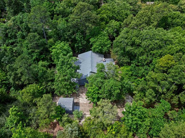 274 Wildwood Trail, Holly Lake Ranch, TX 75765