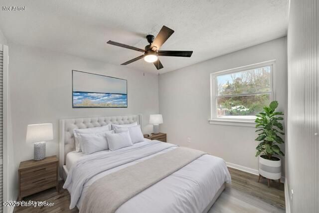 6100 Toebbe Ln, Louisville, KY 40229