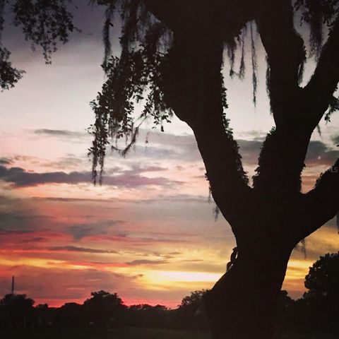 5435 CHANTECLAIRE 69, Sarasota, FL 34235