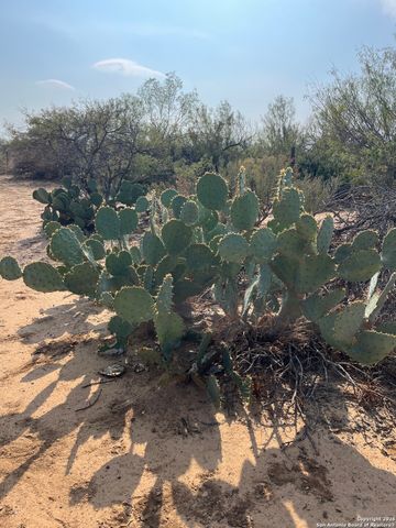 87 quinney, Carrizo Springs, TX 78834