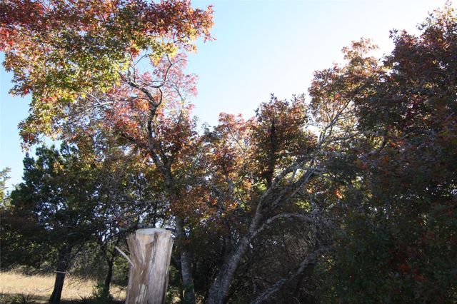 2030 Spring Valley DR, Dripping Springs, TX 78620