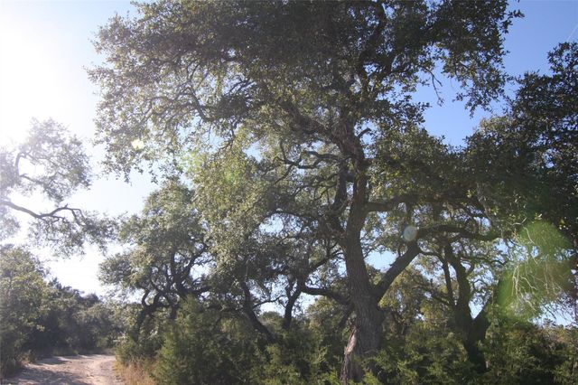 2030 Spring Valley DR, Dripping Springs, TX 78620