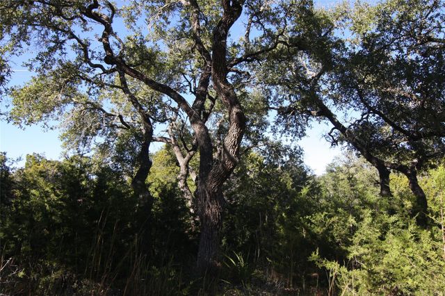 2030 Spring Valley DR, Dripping Springs, TX 78620