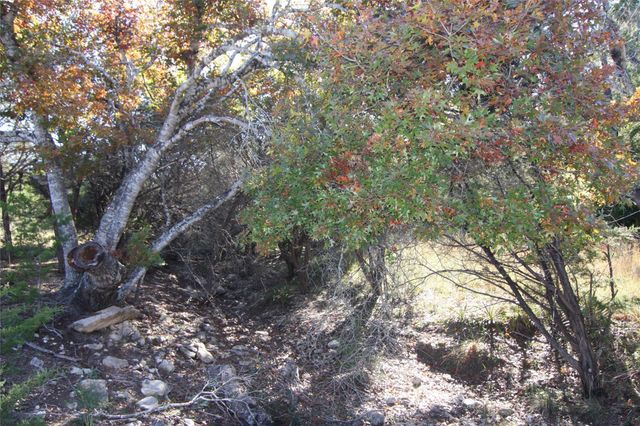 2030 Spring Valley DR, Dripping Springs, TX 78620