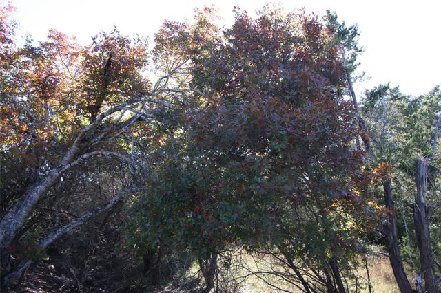 2030 Spring Valley DR, Dripping Springs, TX 78620