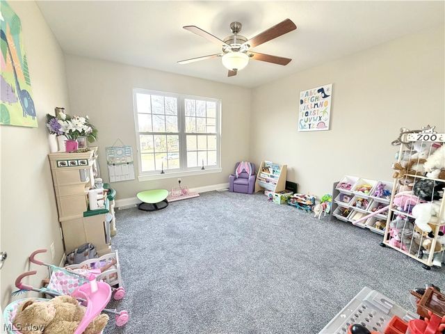 3410 Florences Way Court, Perry, OH 44081