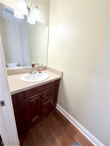 3410 Florences Way Court, Perry, OH 44081