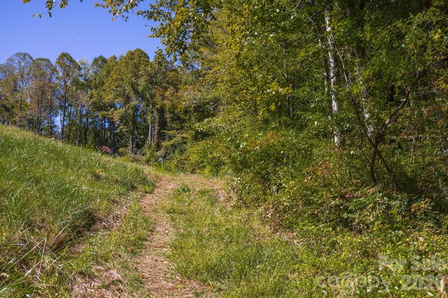 63 Orrinel Way, Asheville, NC 28806