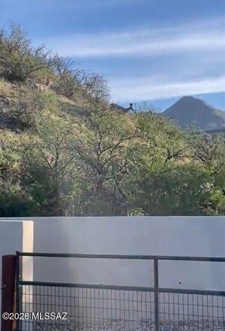1355 Alma Court, Rio Rico, AZ 85648