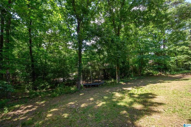 5271 HARVEST RIDGE LANE, Birmingham, AL 35242
