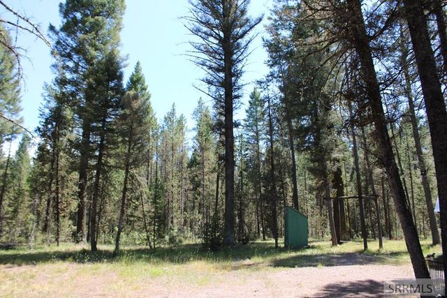 2774 NE Sage Hen Rd, Island Park, ID 83429