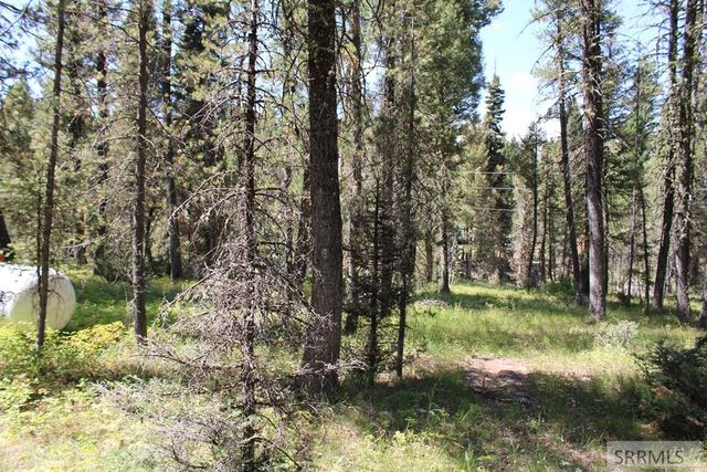 2774 NE Sage Hen Rd, Island Park, ID 83429