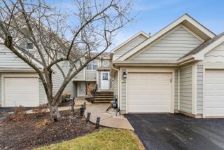 159 W Hamilton Drive, Palatine, IL 60067