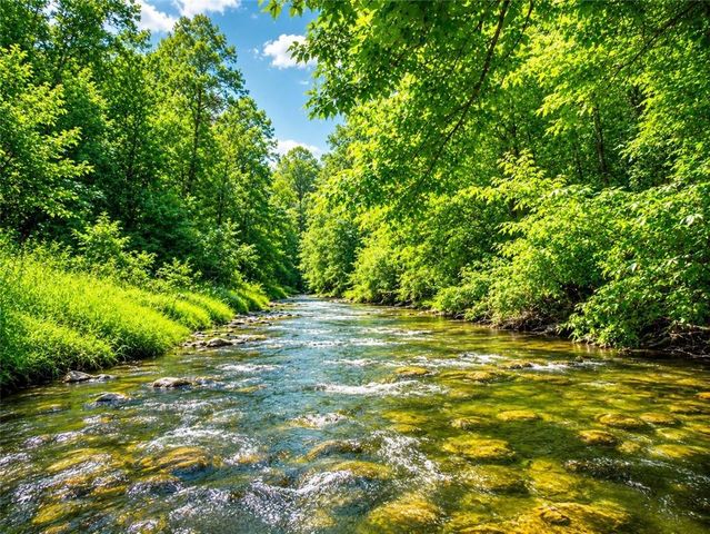 260 Misty Valley Lane, Ellijay, GA 30536