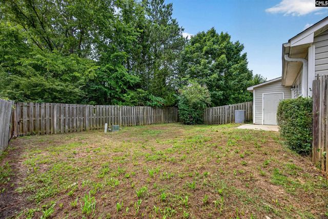 109 Owl Trace Lane, Chapin, SC 29036