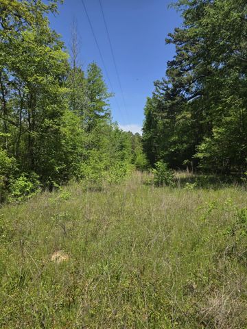 TBD County Road 421, Tyler, TX 75704