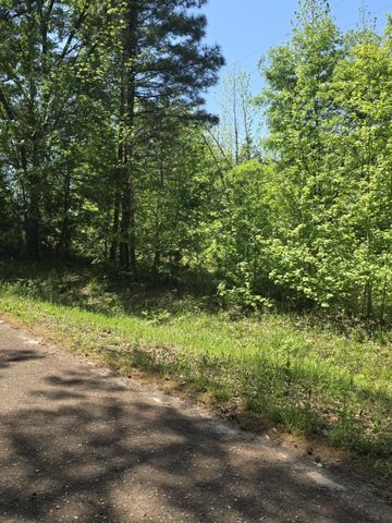 TBD County Road 421, Tyler, TX 75704